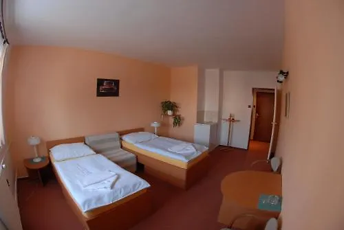 Hotel Wolf Prague 3*,